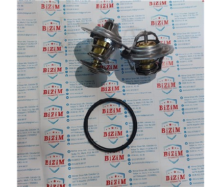 TERMOSTAT ORİNGİ 10 LU PAKET KÜÇÜK OLAN - 038121119B