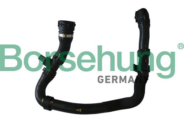 Volkswagen Radyatör Alt Hortum (Komple Müşürlü) Tiguan 08-12 2.0 TFSI - BORSEHUNG B11960