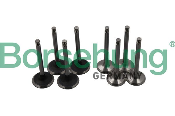 Volkswagen Subap Takımı (4 + 4) 8 Subap Passat 1.9 TDI-2.0 TDI - BORSEHUNG B18640