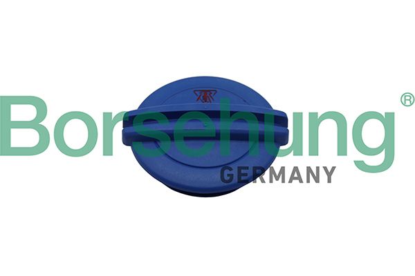 Volkswagen Radyatör Yedek Su Bidonu Kapağı (Mavi) (Febi40222) T5-Golf5-Passat-Caddy-Crafter - BORSEHUNG B19281