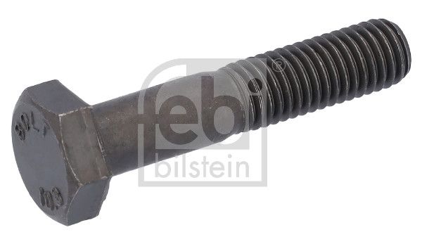 Volkswagen Altıgen Vıda Kutu Içı Adet 50 | 1 Adet - FEBI BILSTEIN 17532