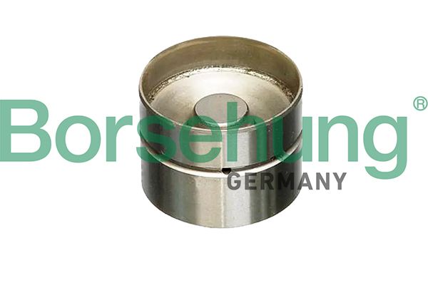 Volkswagen Subap İticisi (Ina 420 0022 10) Tek Yaylı Tip T4-Lt-Caddy-Crafter (Febı 08064) - BORSEHUNG B18837