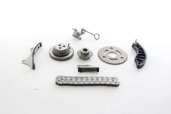Opel Eksantrik Zincir Seti Zincir-3 Kızak-Eksantrik Dişli-Krank Dişli-Eksantrik Mil Ayarlayıcı (Vanos)-Zincir Gergisi-Civata Opel Astra J Meriva/Insignia B16dth 1.6Cdti 10- - BSG 65-102-002