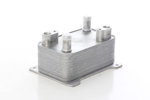 Volkswagen Şanzuman Yağ Soğutucu 8M0 376 701-504 Passat Bpy-Bwa-CbfaCCtaCCza 2.0 FSI 05-10 - BSG 90-506-020