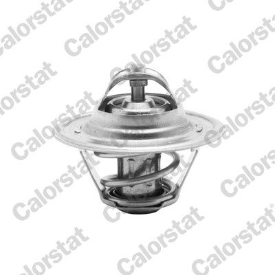 Volkswagen Termostat 87°C Golf.IV-Polo Classic-Sharan-A4-A6 - VERNET TH6276.87J