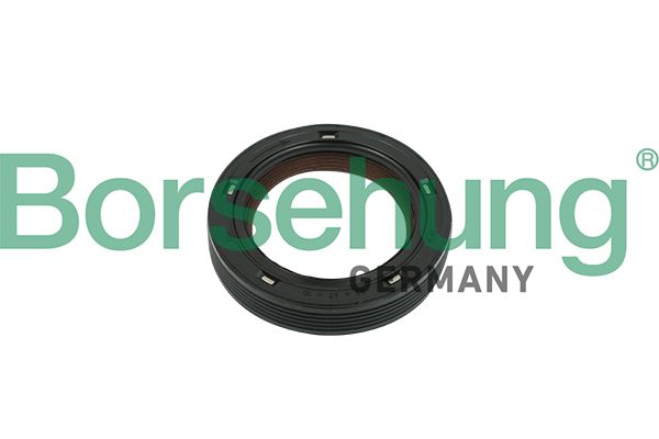 Volkswagen Eksantrik Keçe Bora-Caddy-Golf-Jetta-Passat-Polo-Sharan-Touran-Crafter-Lt35-T4-T5 (32X47x10) (Kutu İçi Corteco) - BORSEHUNG B18729