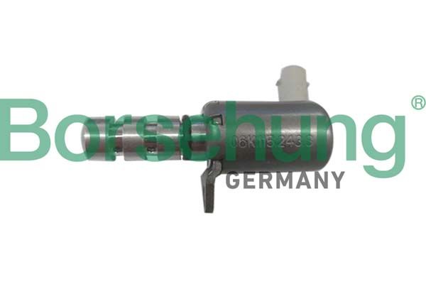 Volkswagen Solenoid Valf Audi A3-A4-A5-A6-A7-Q3-Q5-Q7-Tiguan-Touareg-Golf-Passat 1,8Tsı-2.0 TSI (Febı 175031) - BORSEHUNG B12314